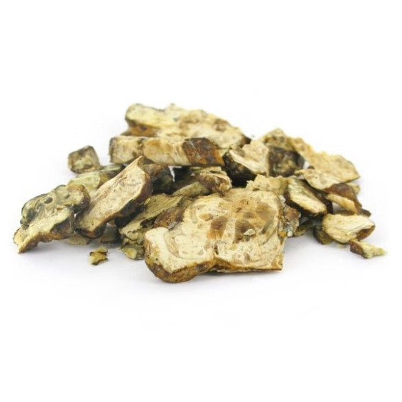 Champignon Magique - Psilocybe PANDORA - Mycotek Mycotek - 8