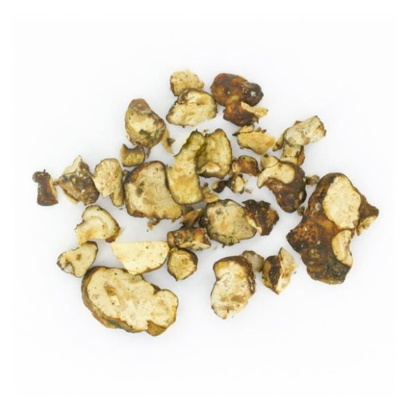 Magic Truffels - Psilocybe HOLLANDIA - Mycotek Mycotek - 7