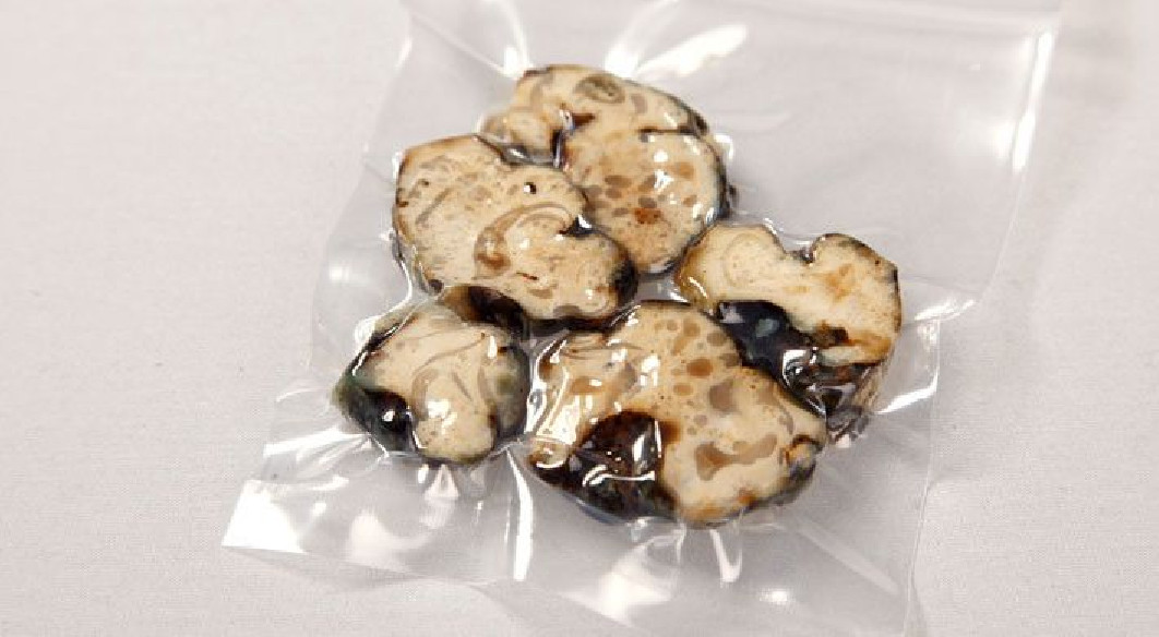 Magic Truffels - Psilocybe HOLLANDIA - Mycotek Mycotek - 8