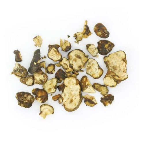 Magic Truffles - Psilocybe UTOPIA - Mycotek Mycotek - 7