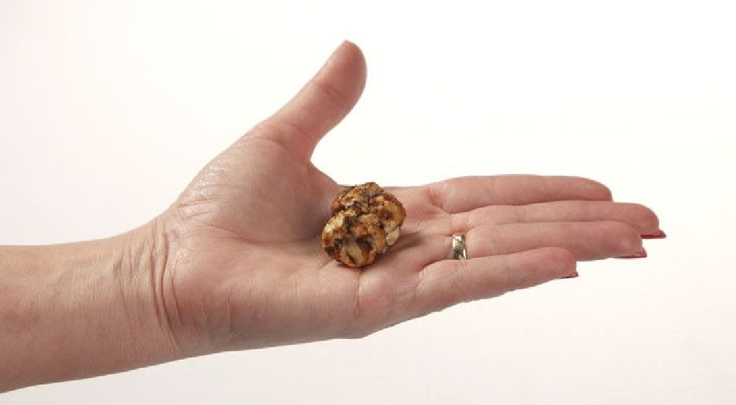 Trufas Mágicas - Psilocybe MYCOTROP - Mycotek Mycotek - 8