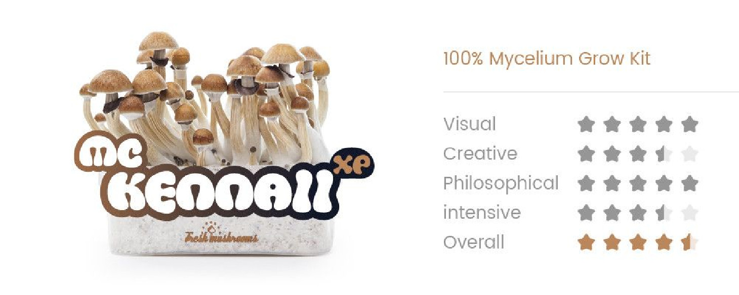 MCKENNAII - Magic Mushroom Growkit Fresh Mushrooms - 2 MCKENNAII - Magic Mushroom Growkit Fresh Mushrooms - 2