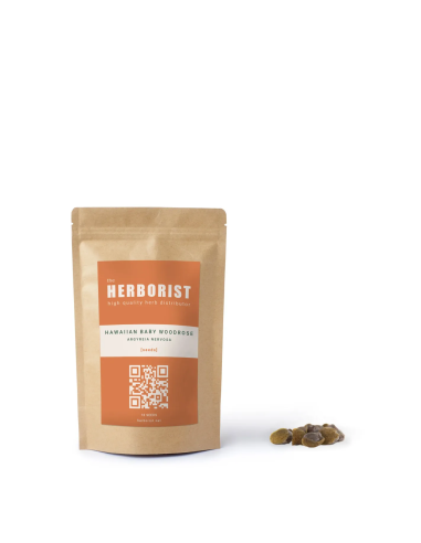 Hawaiian baby woodrose seeds - Argyreia nervosa