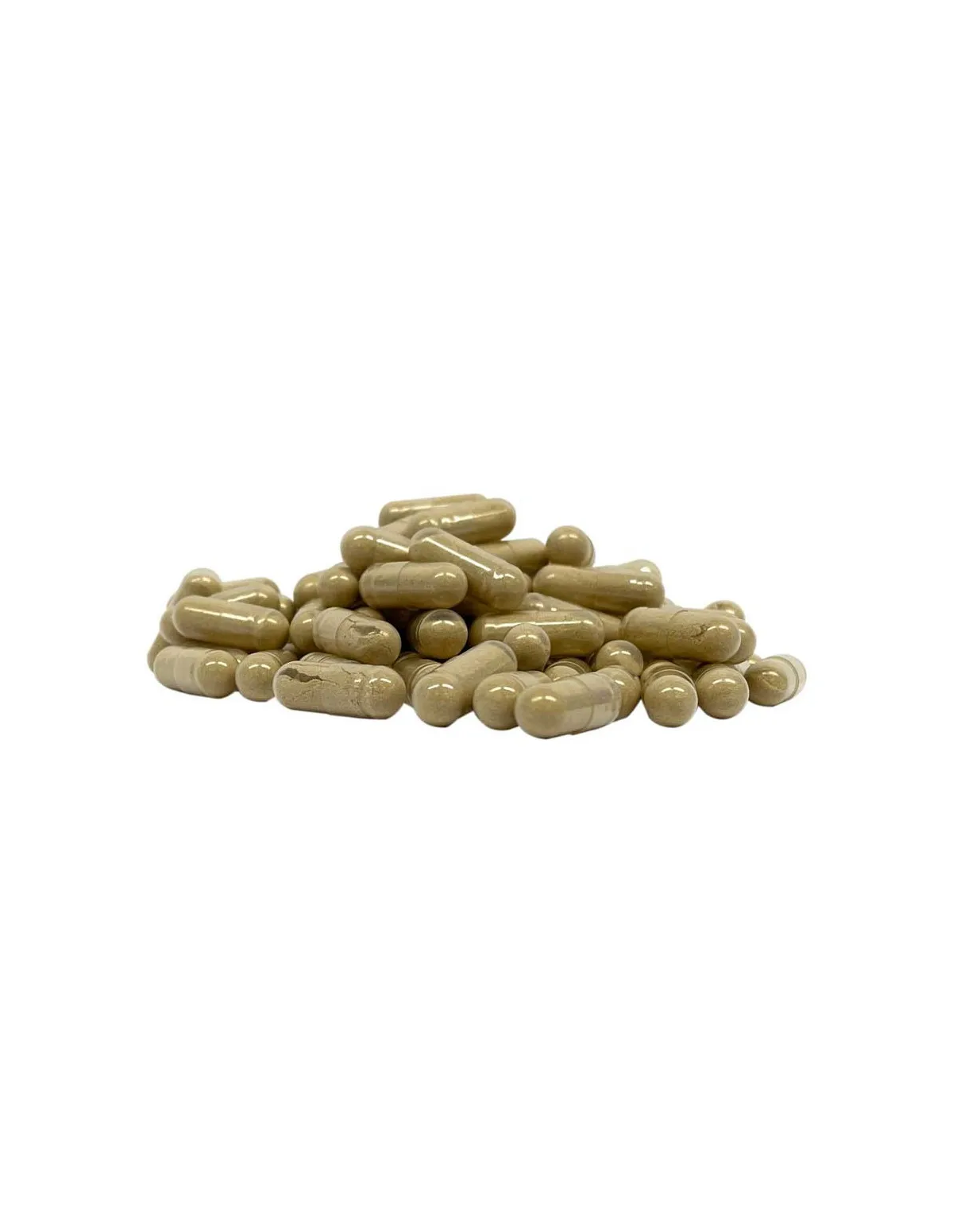 Vitamine D2 – 180 capsules