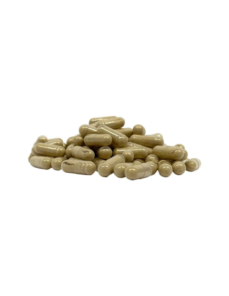 Vitamine D2 – 180 capsules