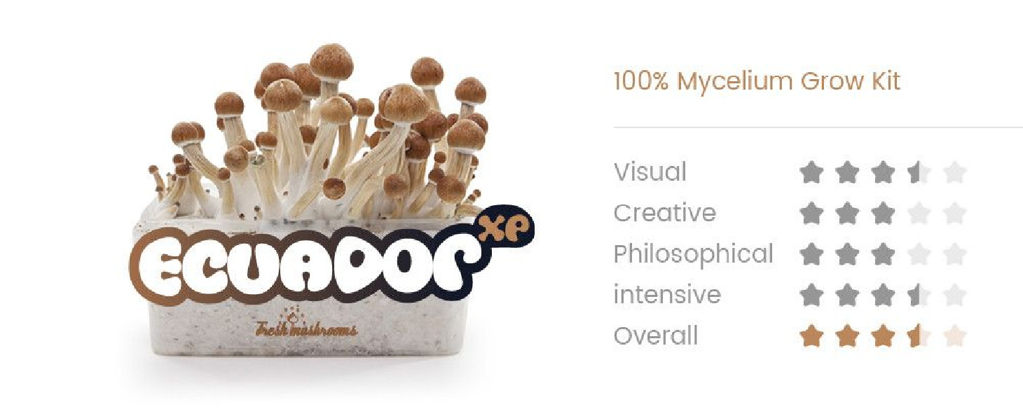 ECUADOR - Champignons Magiques Growkit Fresh Mushrooms - 2 ECUADOR - Champignons Magiques Growkit Fresh Mushrooms - 2