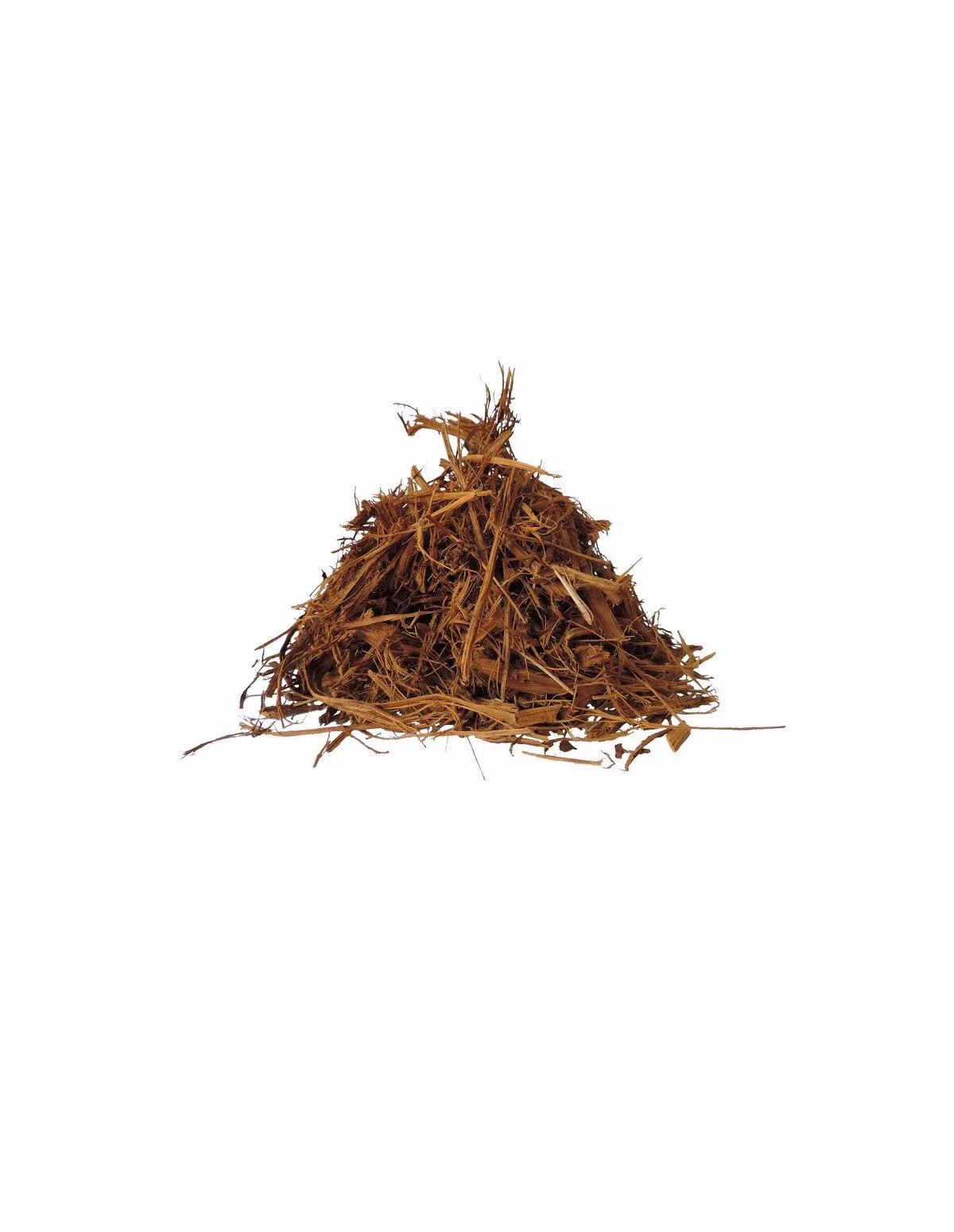 Banisteriopsis Muricata Caapi Red