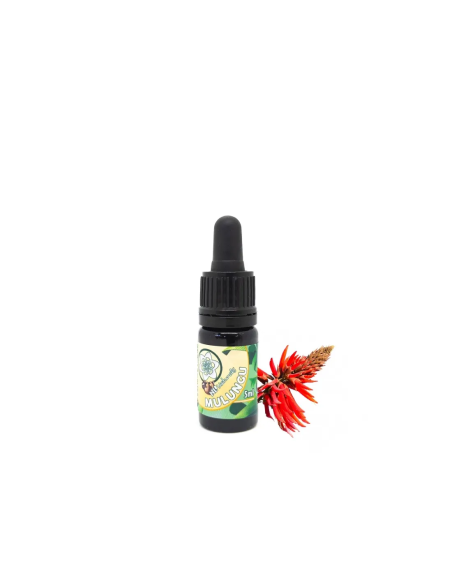 Mulungu Erythrina mulungu Exctract