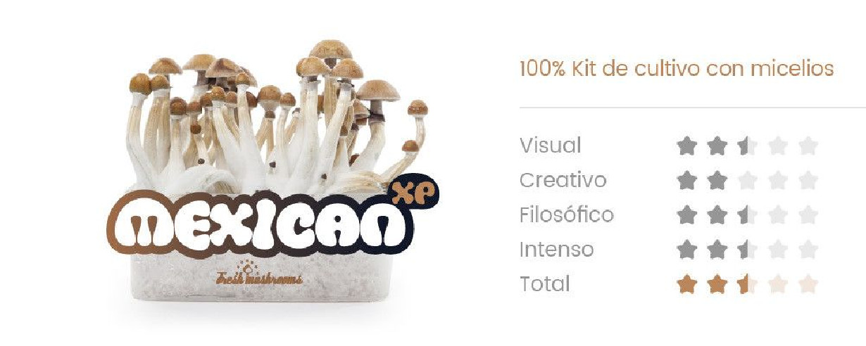 MEXICAN - Zauberpilze Growkits Fresh Mushrooms - 1