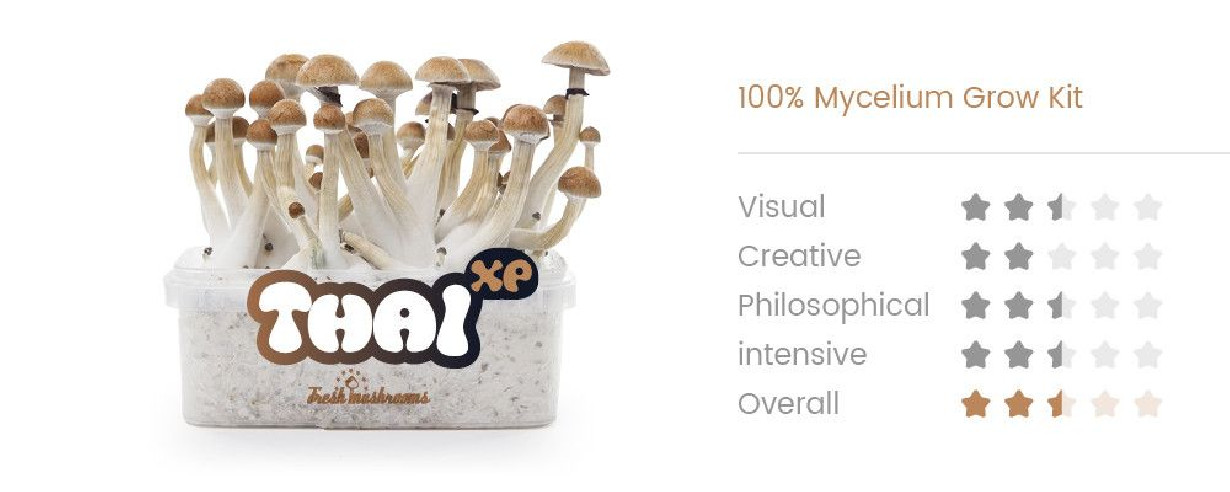 THAI - Champignons Magiques Growkit Fresh Mushrooms - 2