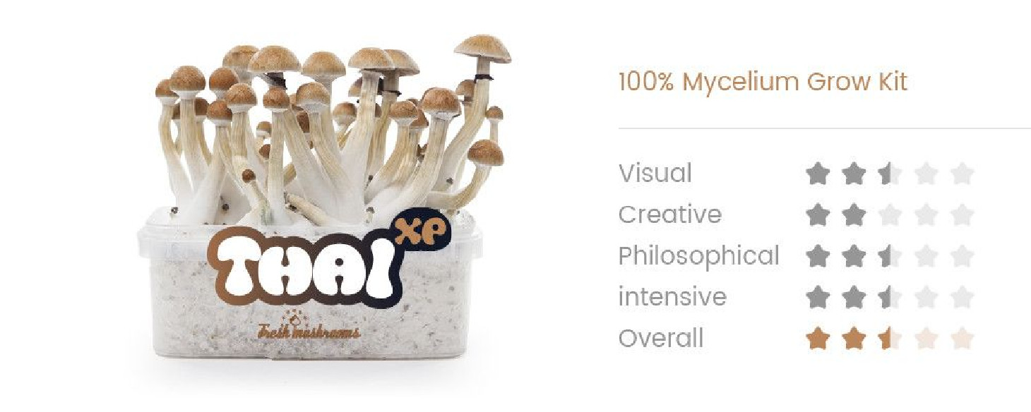THAI - Magic Mushroom Growkit Fresh Mushrooms - 2 THAI - Magic Mushroom Growkit Fresh Mushrooms - 2