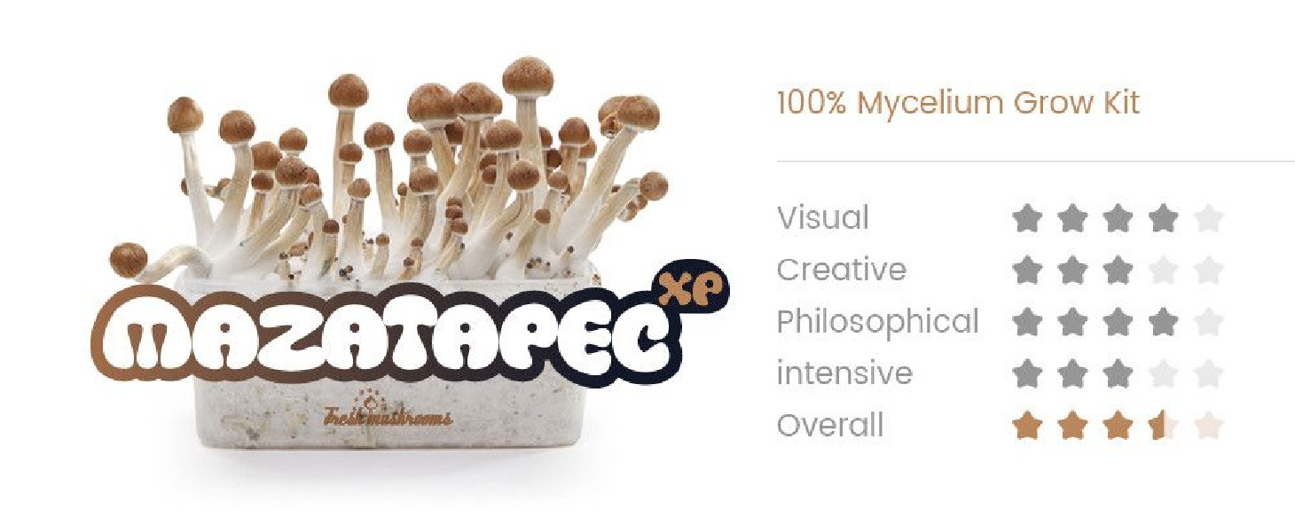 MAZATAPEC - Zauberpilze Growkits Fresh Mushrooms - 2 MAZATAPEC - Zauberpilze Growkits Fresh Mushrooms - 2