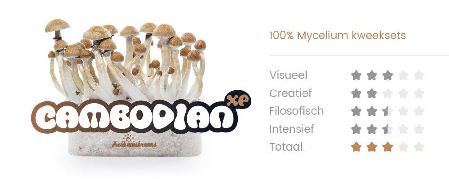 CAMBODIAN - Magic Mushroom Growkit Fresh Mushrooms - 2 CAMBODIAN - Magic Mushroom Growkit Fresh Mushrooms - 2