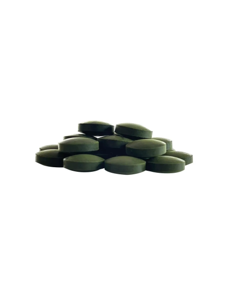 Chlorella - 240 tablets