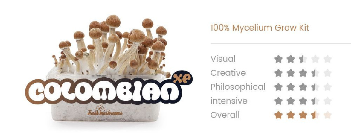 COLOMBIAN - Champignons Magiques Growkit Fresh Mushrooms - 2