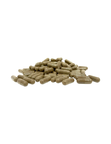 McMyco Fantastic 5 - 120 capsules