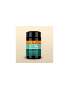 Mushroom Tincture & Extract