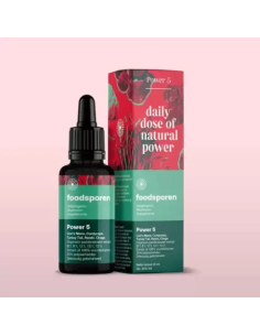 Mushroom Tincture & Extract