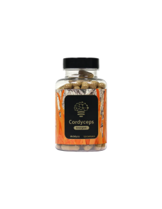 Mushroom Tincture & Extract