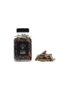 Mushroom Tincture & Extract 2