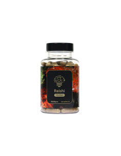 Mushroom Tincture & Extract