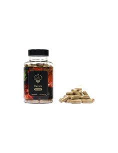 Mushroom Tincture & Extract 2