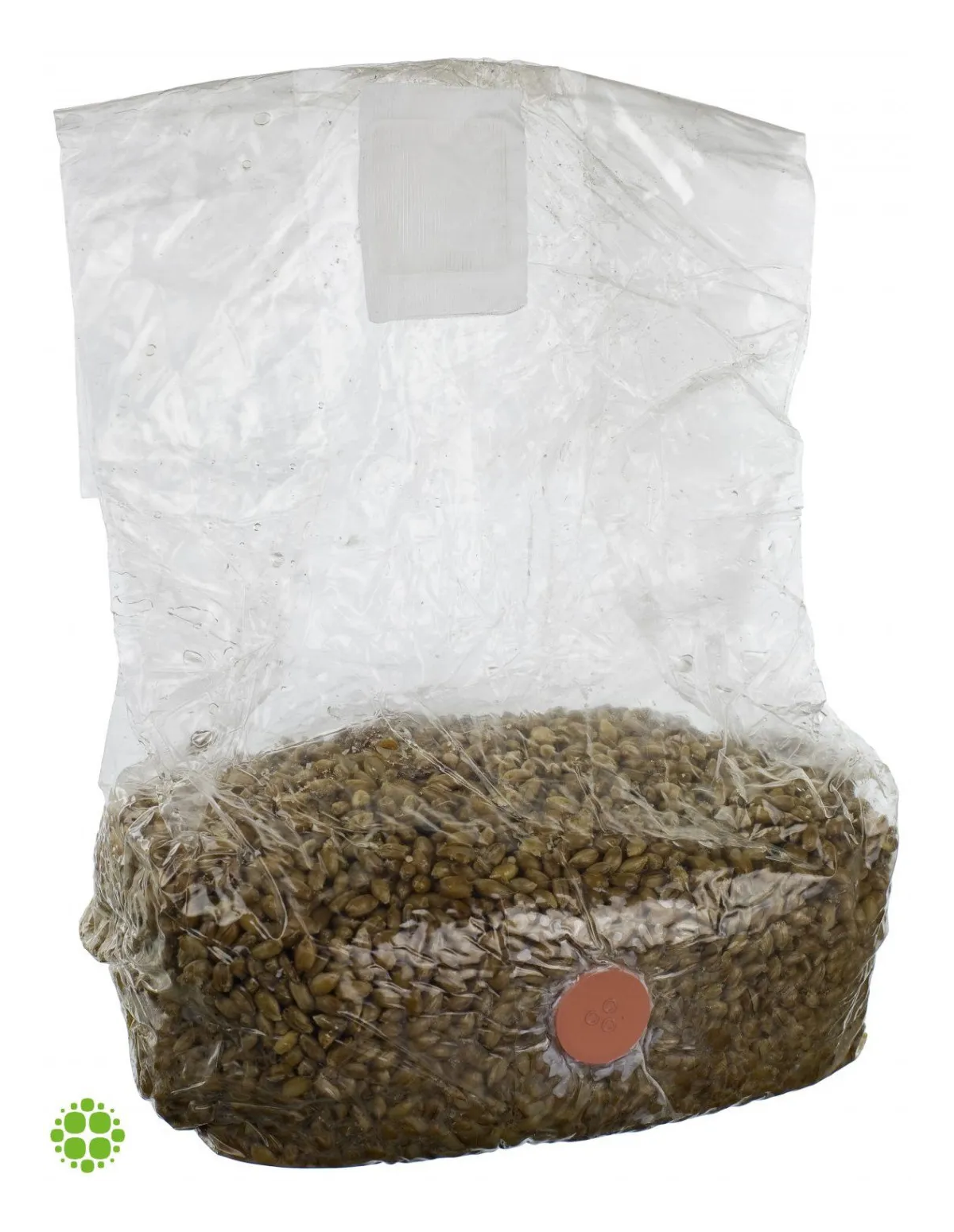 Mushroom grow kit 'Mushbag' rye