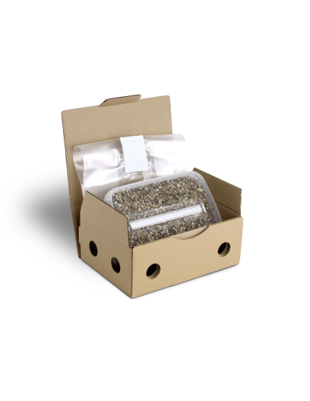 Mondo Growkit - PES Amazonian