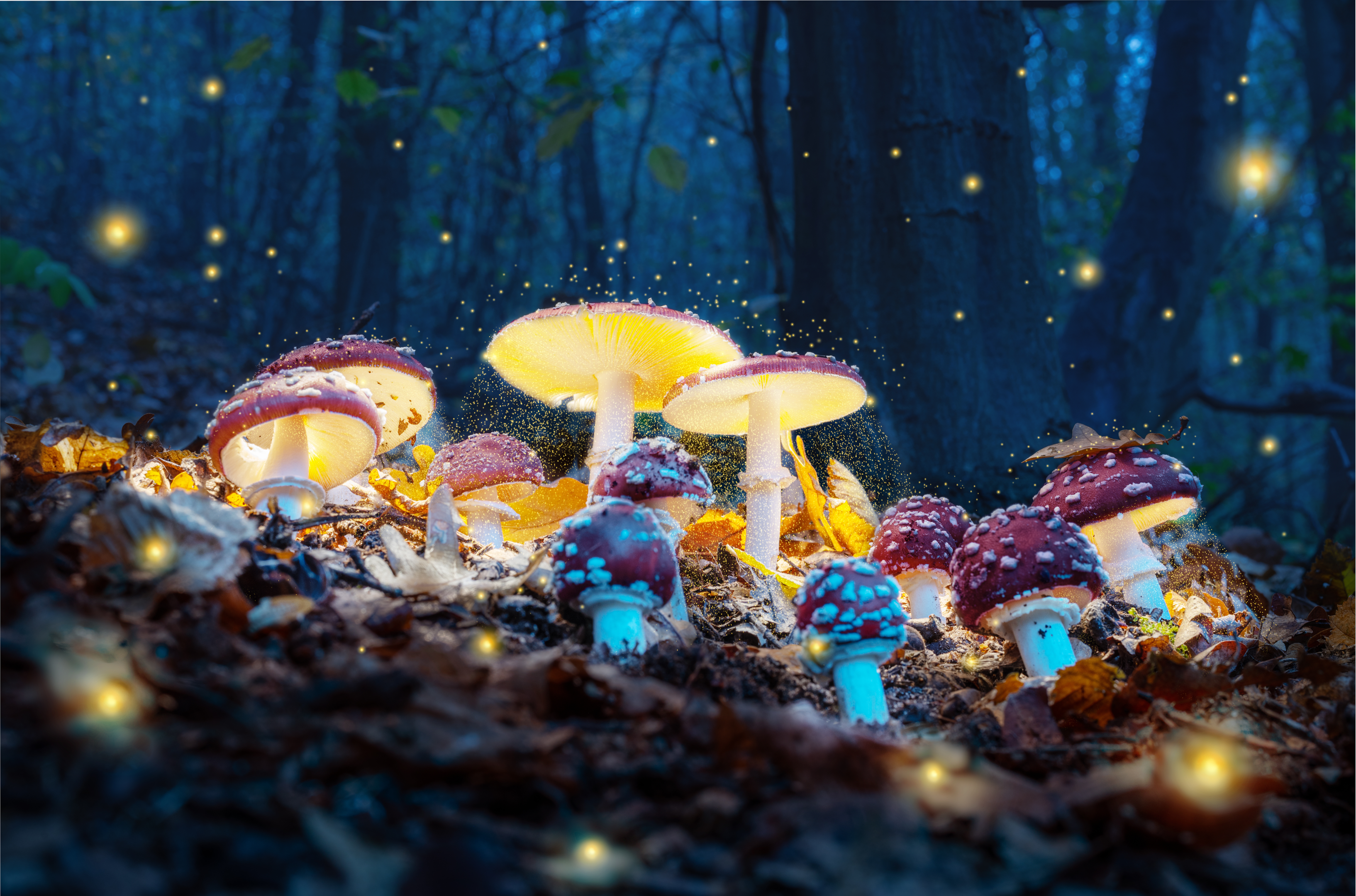 Amanita mascara hallucinogenic mushrooms (Image source: Adobe Stock)
