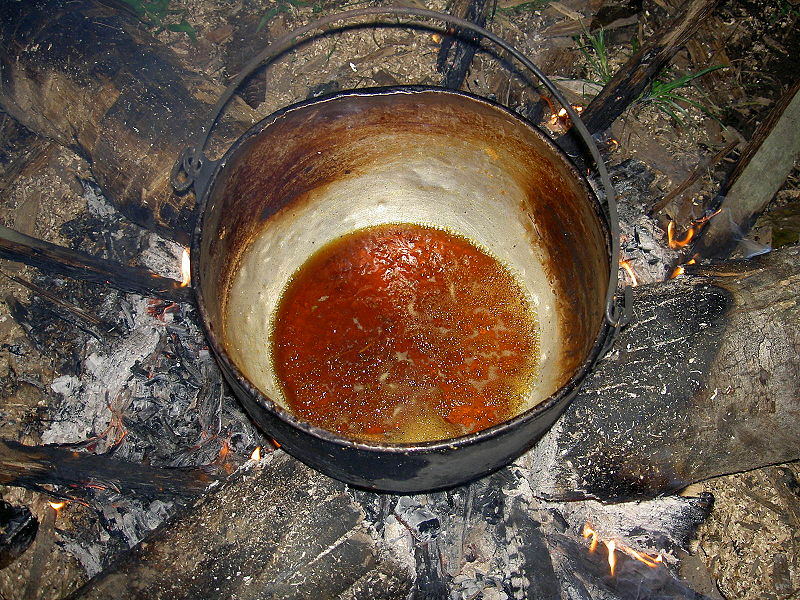 File:Preparación de ayahuasca.JPG