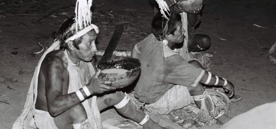 Indianen die op de grond zitten ayahuasca te drinken.