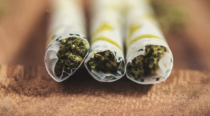 Selon une étude, fumer un gros joint de weed rendrait plus gentil et  intelligent - Juno7