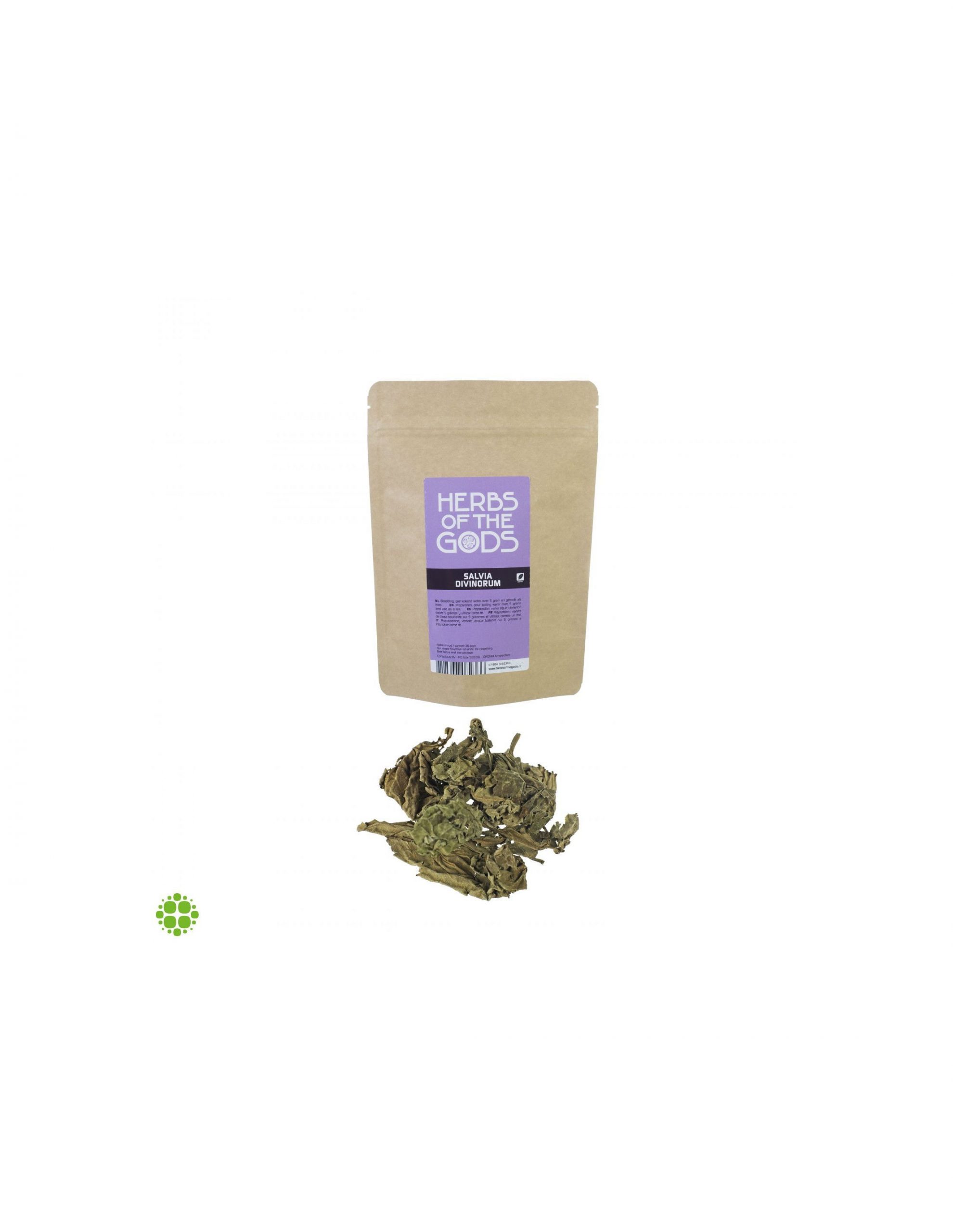 What is salvia divinorum?