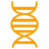 Genetics