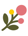 Mimosa Hostilis