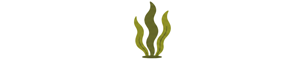 Algues | Mycotrop