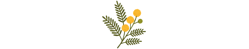 Acacia | Mycotrop
