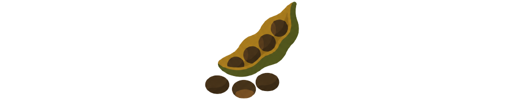 Yopo