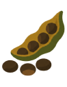 Yopo