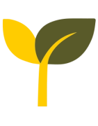 Banisteriopsis caapi