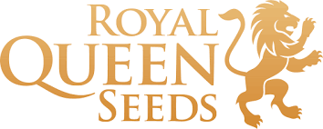 Introduzione ai semi di cannabis Royal Queen seed